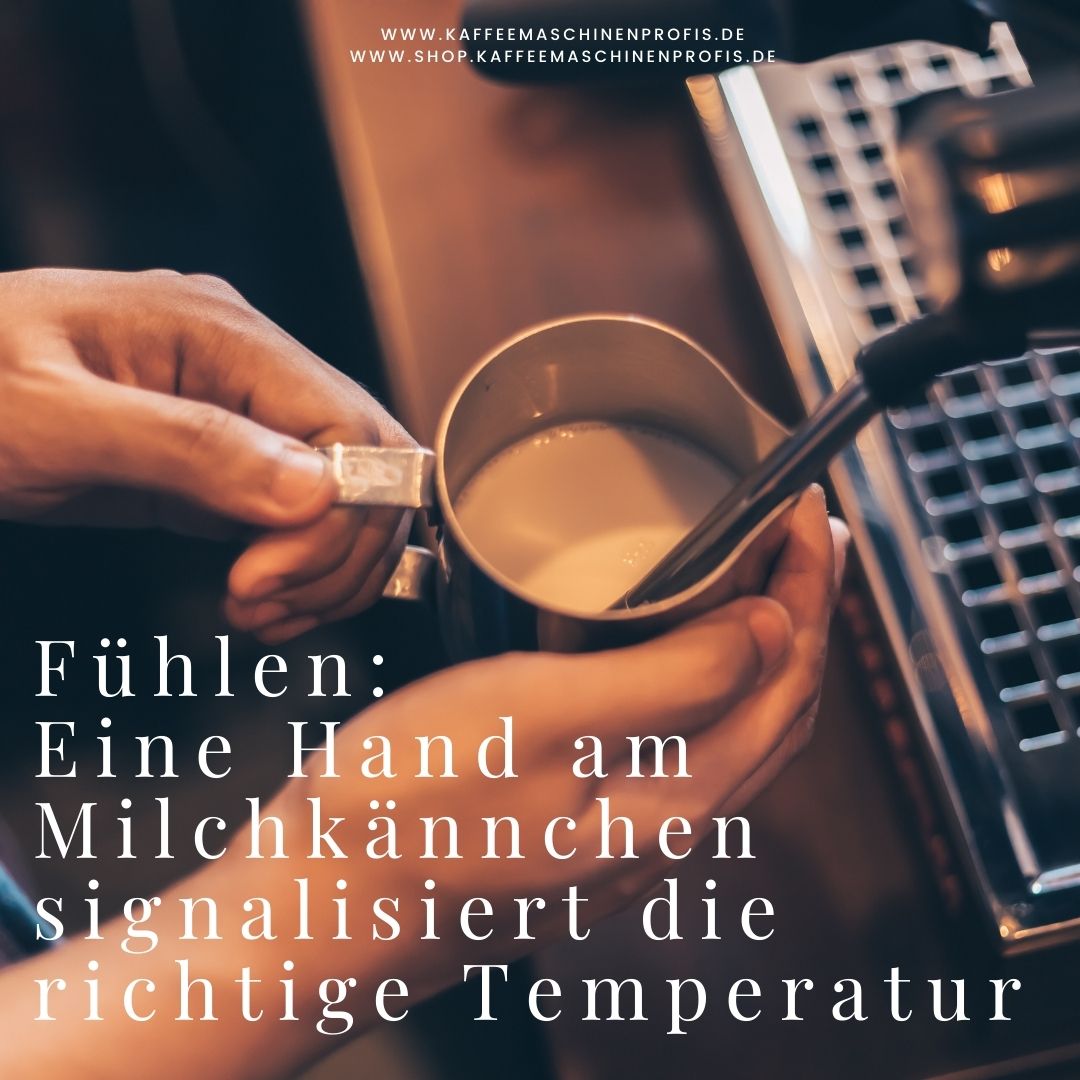 Kaffeemaschinenprofis-Siebtraeger-Blog-Der-perfekte-Milchschaum-7
