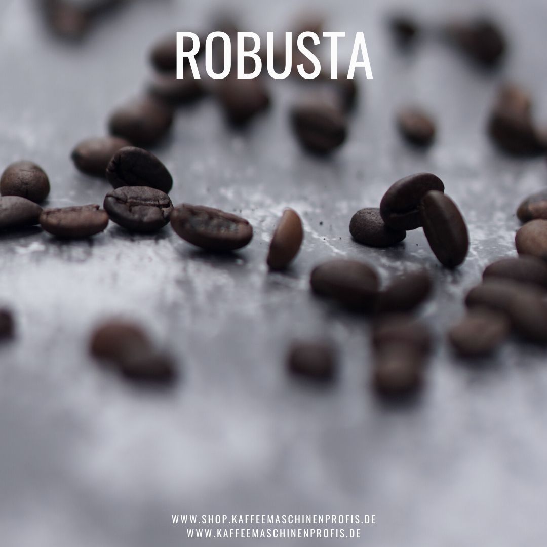 Kaffeemaschinenprofis-Giessen-Blog-Arabica-Robusta-5