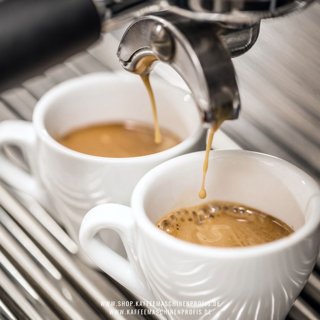 Kaffeemaschinenprofis-Giessen-Blog-Arabica-Robusta-7