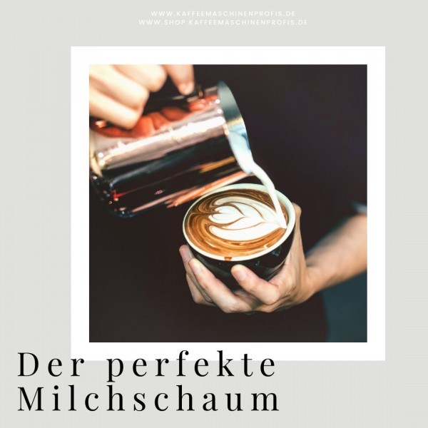 Kaffeemaschinenprofis-Siebtraeger-Blog-Der-perfekte-Milchschaum-1cDZzMpNUmXC9g